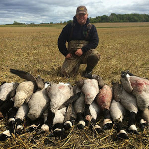 Meet your Posher, Phillip